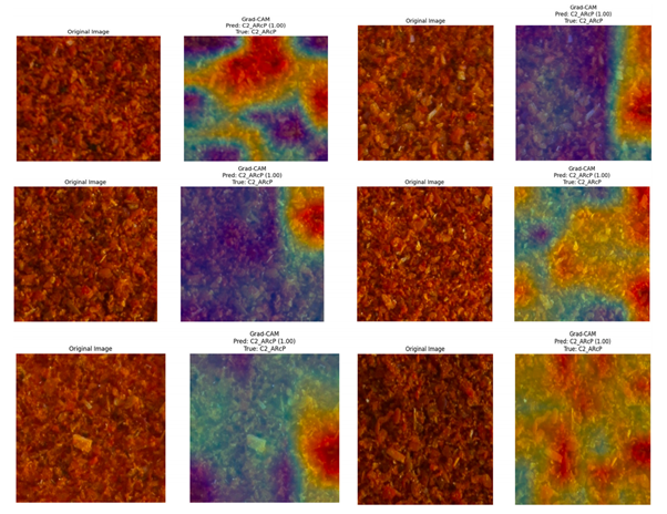 Visualisation of DensNet_169 by Grad-CAM heatmap for the adulterated Red Chilli Powder.png